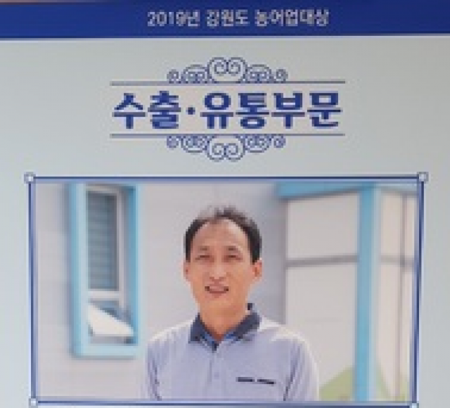 정선몰,농업회사법인 창성 주식회사 오미자 홍삼 젤리 스틱 세트 20g*30포(600g)
